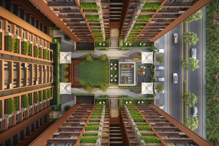 Top View